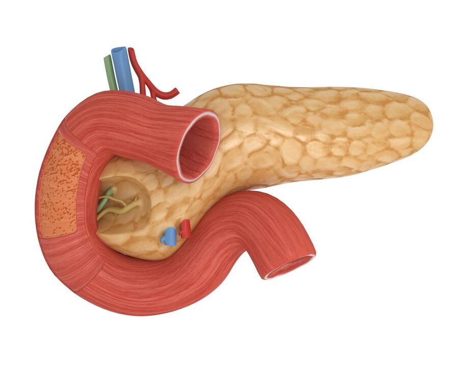 boa sensibilidade á insulina pancreática despois de tomar Glucoren
