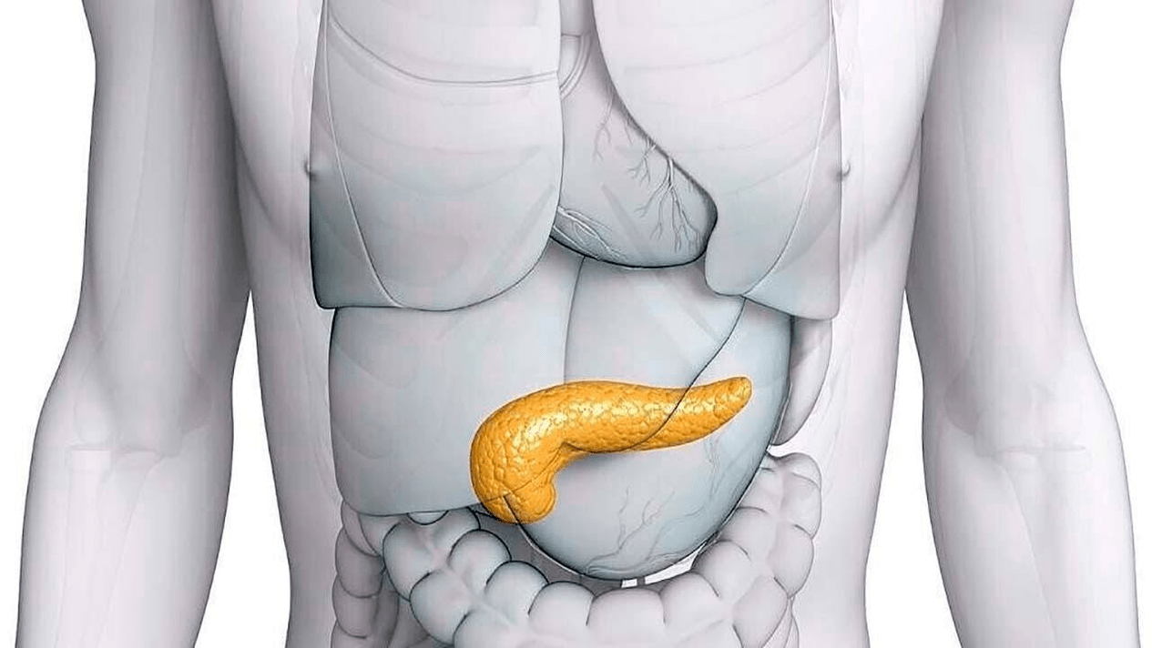 páncreas saudable despois de tomar Glucoren